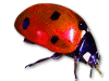 Captcha image 2177